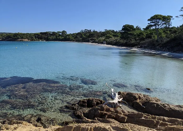 Appartement Avec Jardin, Clim & Piscine - Proche Plages Et Randos, Parking Prive - La Girelle